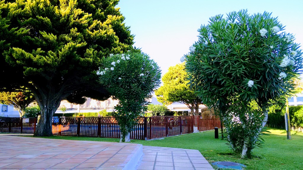 Vente appartement avec magnifique terrasse et deux piscines à Calahonda Perla de Andalucia