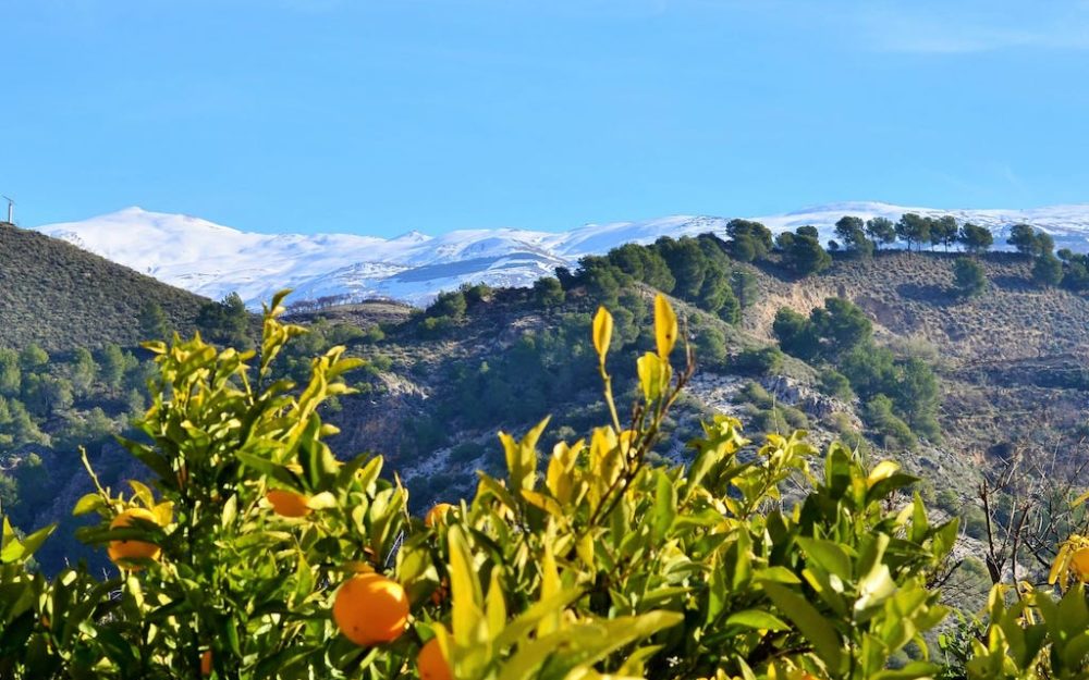 Lovely house in the country in valle Lecrin, Granada for holidays rental