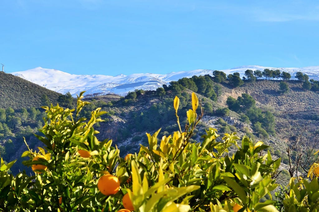 Superbe maison de campagne Valle Lecrin, Grenada en location saisonnière